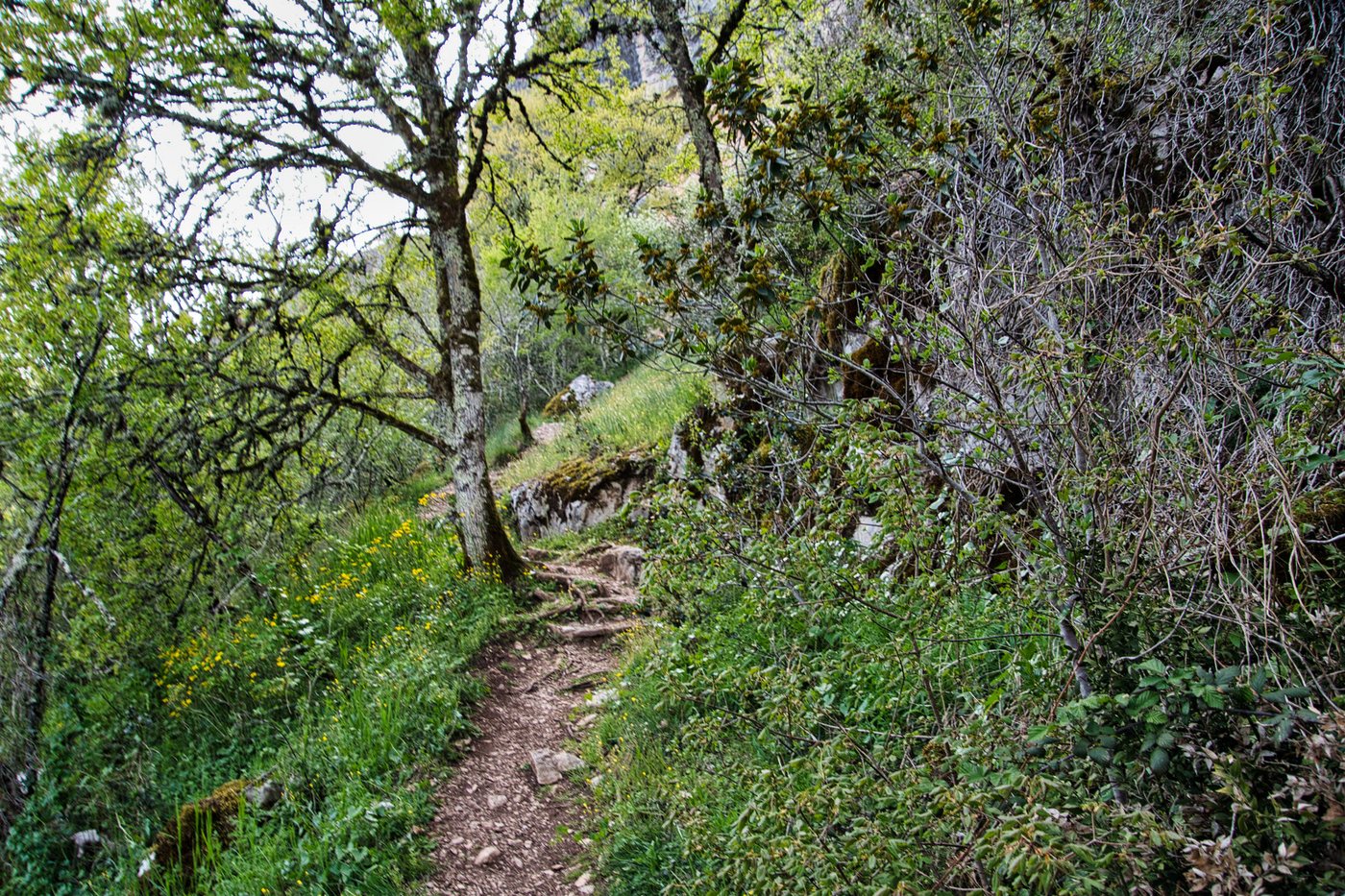 Le chemin sous les arbres, Autoire dans le Lot